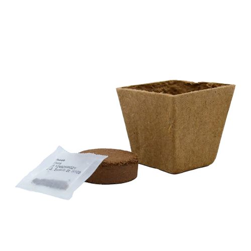 Sustainable grow kit - Image 3